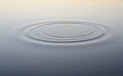 Devoção Ministerial: Priorizando as Prioridades